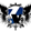 Zenith Velocity